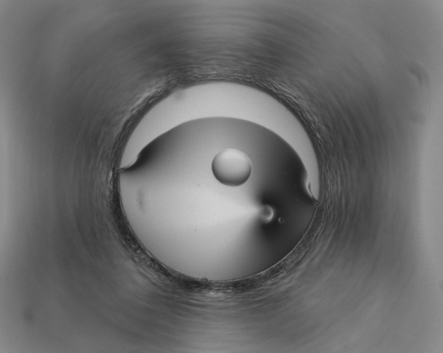 X0000112430308200909111035