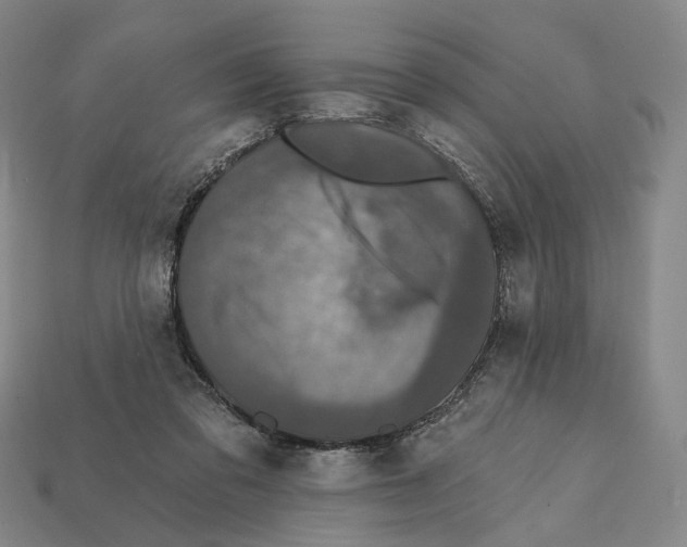 X0000112430309200909111035