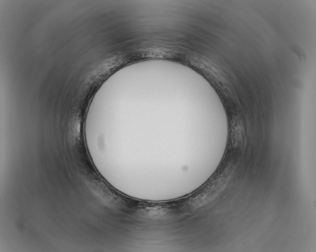 X0000112430310200909111035
