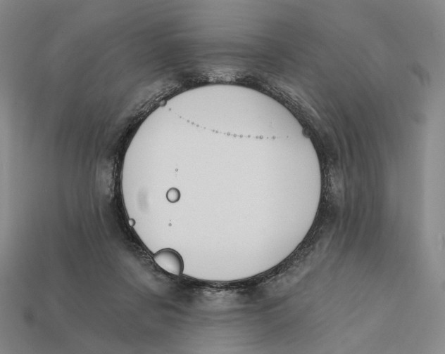 X0000112430311200909111035