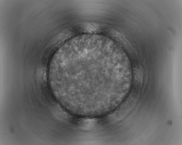 X0000112430313200909111035