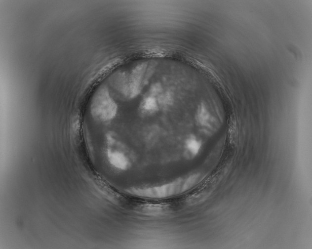 X0000112430314200909111035