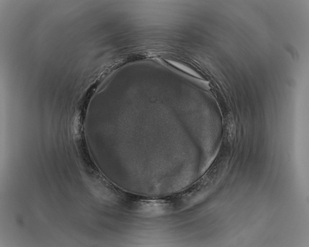 X0000112430316200909111035