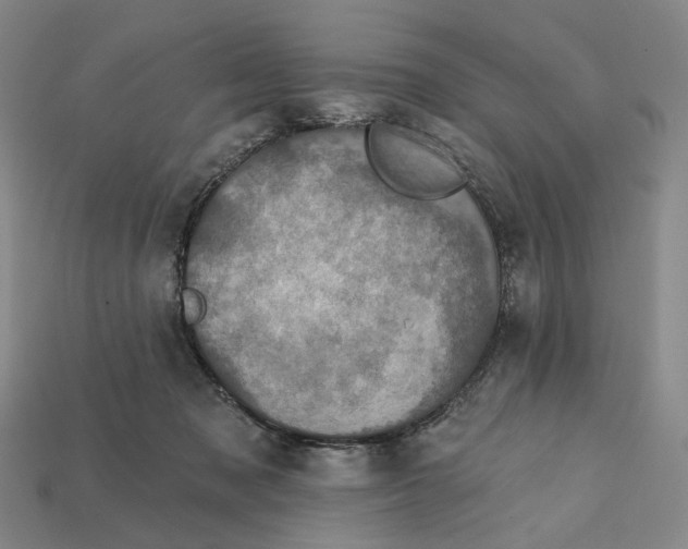 X0000112430317200909111035