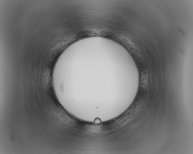 X0000112430318200909111035