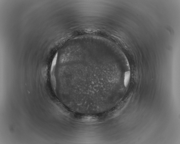 X0000112430319200909111035