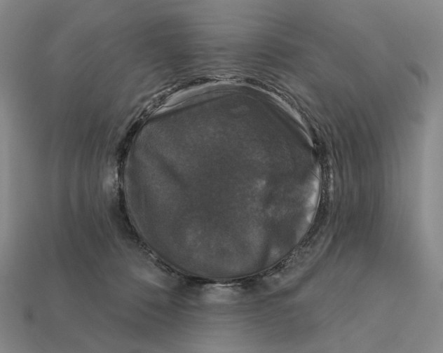 X0000112430320200909111035