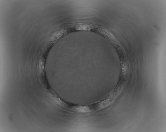 X0000112430322200909111035