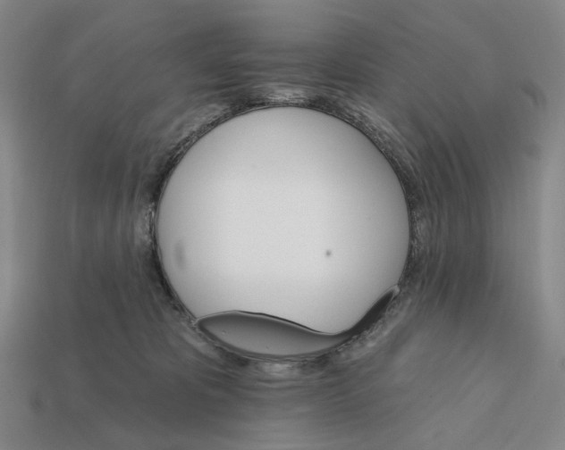 X0000112430325200909111035