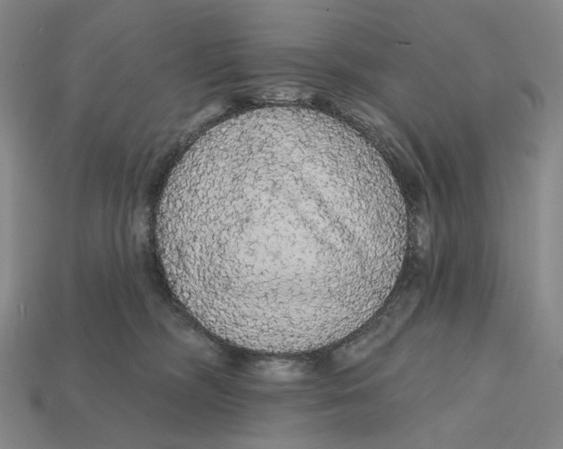 X0000112430326200909111035