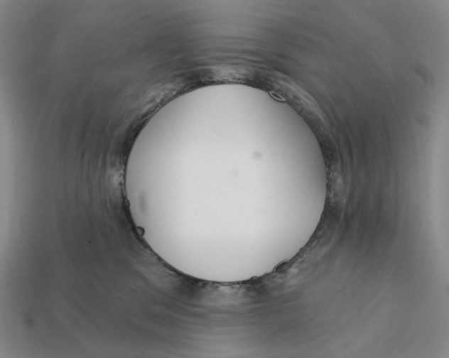 X0000112430329200909111035