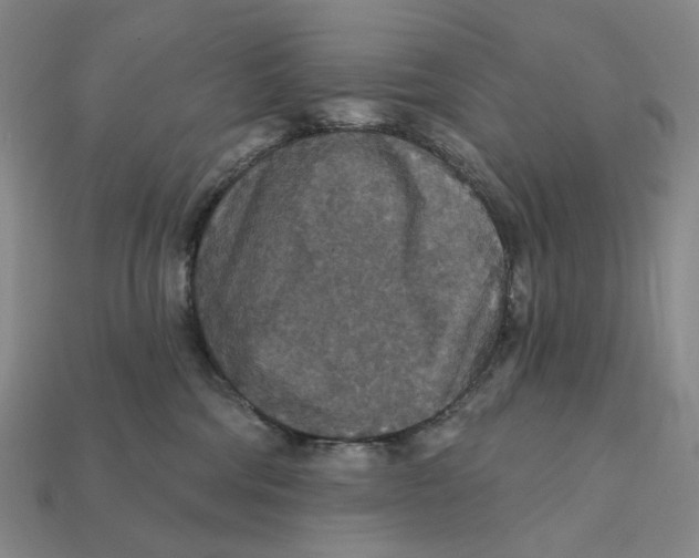 X0000112430330200909111035