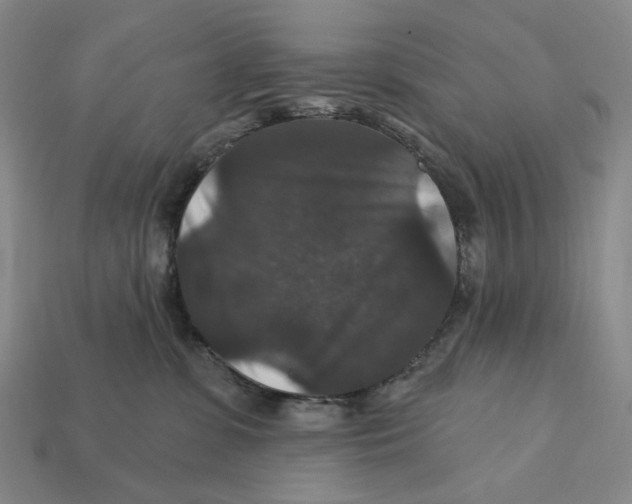 X0000112430331200909111035
