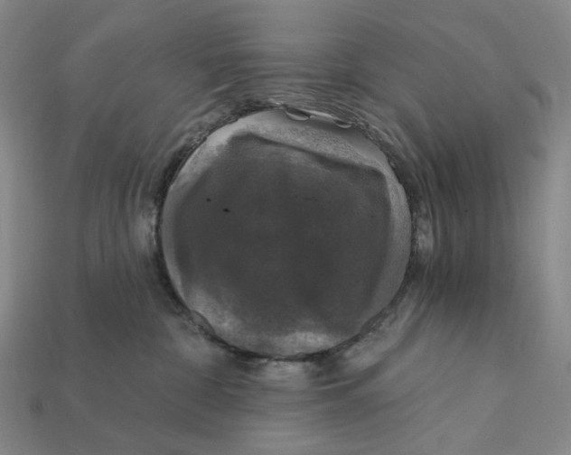 X0000112430332200909111035