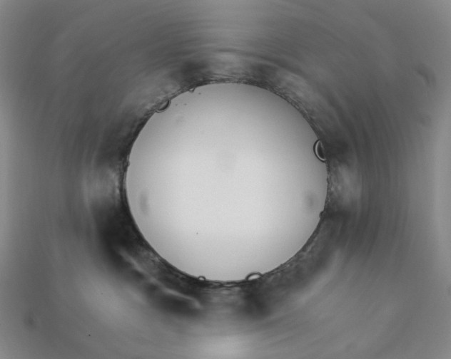 X0000112430333200909111035