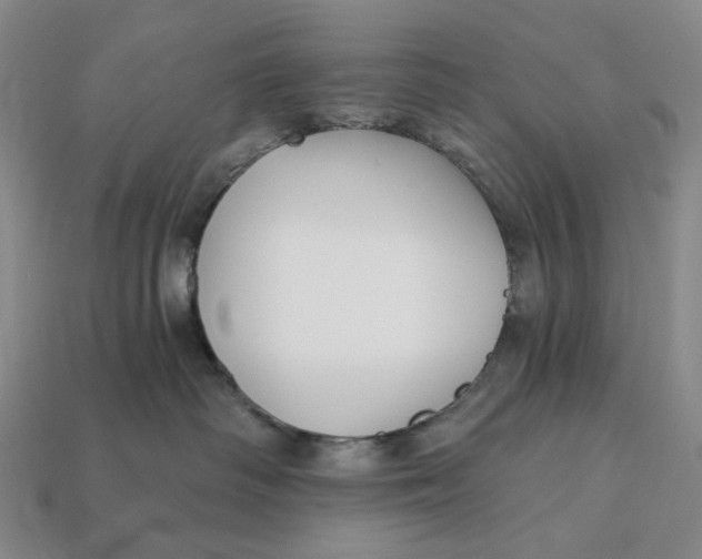 X0000112430334200909111035