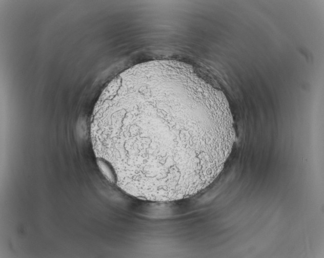 X0000112430335200909111035