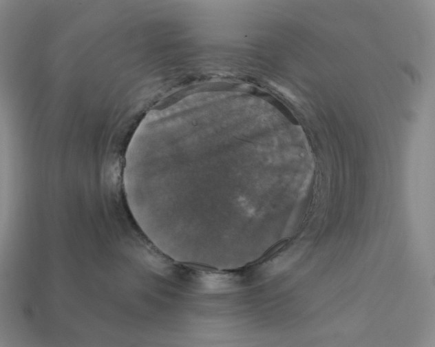 X0000112430336200909111035