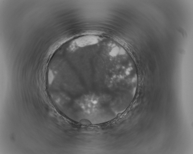 X0000112430337200909111034