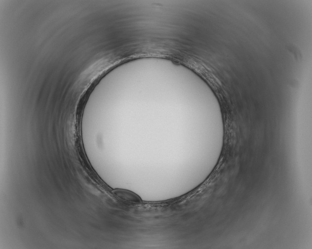 X0000112430338200909111034