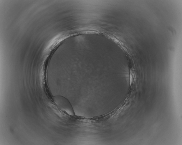 X0000112430339200909111034