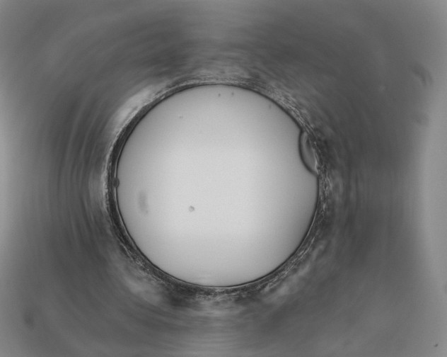 X0000112430340200909111034