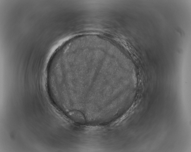 X0000112430342200909111034