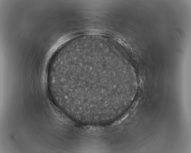 X0000112430343200909111034
