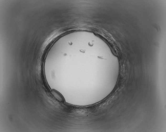 X0000112430344200909111034