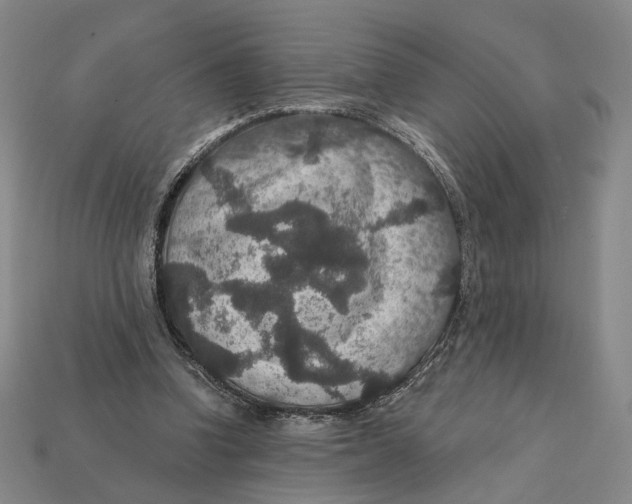 X0000112430346200909111034