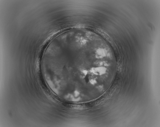 X0000112430347200909111034