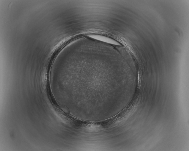 X0000112430348200909111034