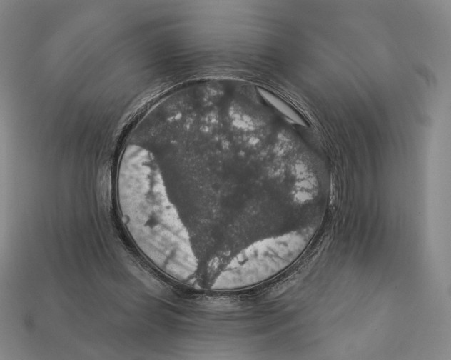 X0000112430349200909111034