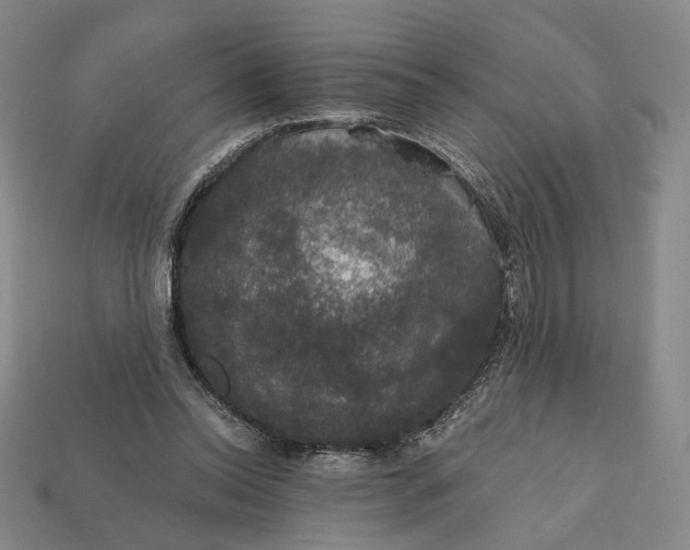 X0000112430350200909111034