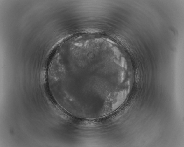 X0000112430351200909111034