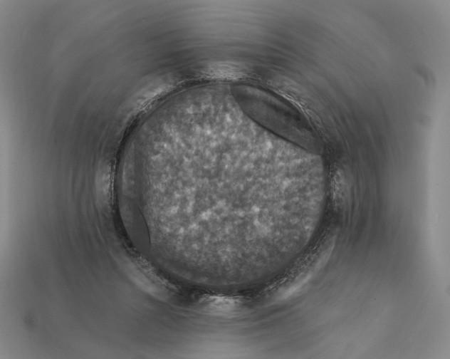 X0000112430352200909111034