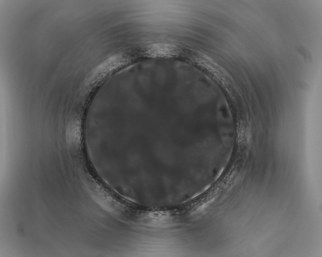 X0000112430353200909111034