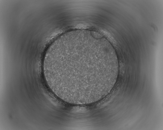 X0000112430354200909111034