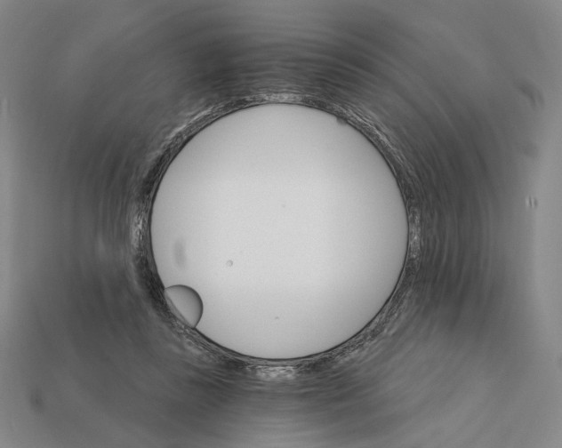 X0000112430355200909111034