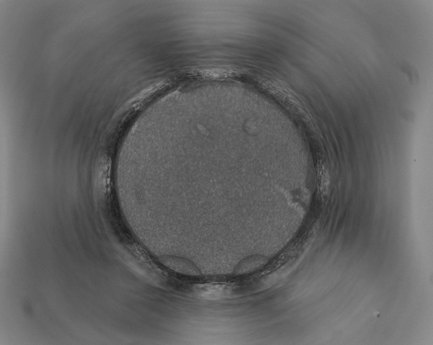 X0000112430356200909111034