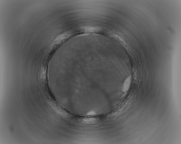 X0000112430357200909111034