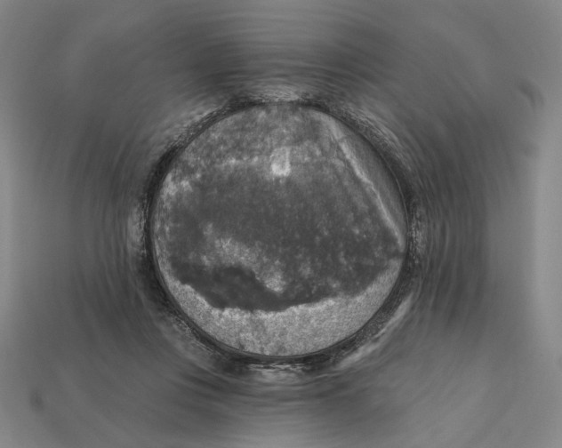 X0000112430359200909111034
