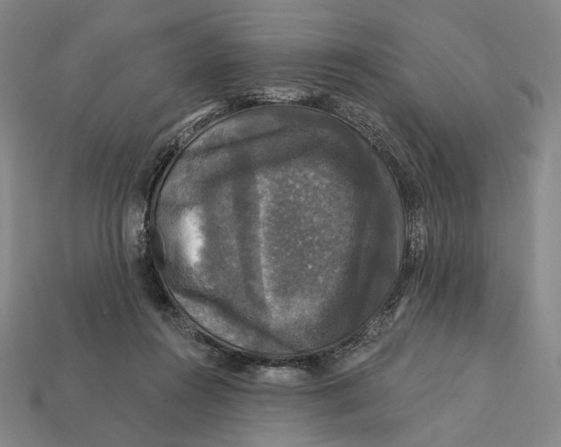 X0000112430360200909111034
