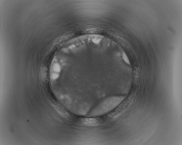 X0000112430361200909111034