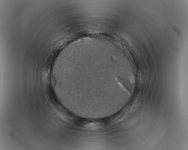 X0000112430364200909111034