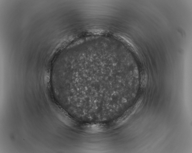 X0000112430365200909111034