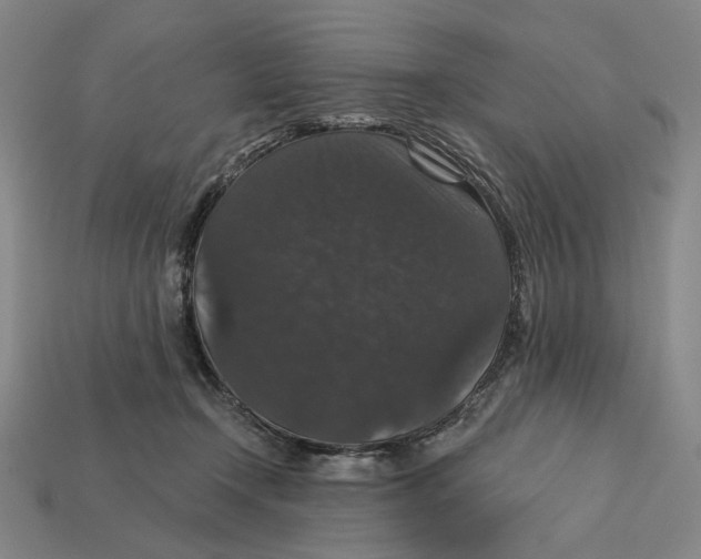 X0000112430366200909111034
