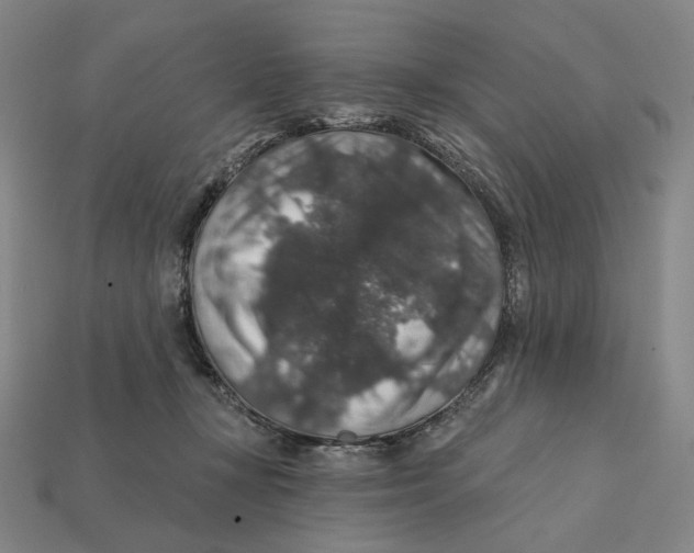 X0000112430367200909111034