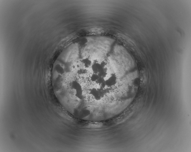 X0000112430369200909111034