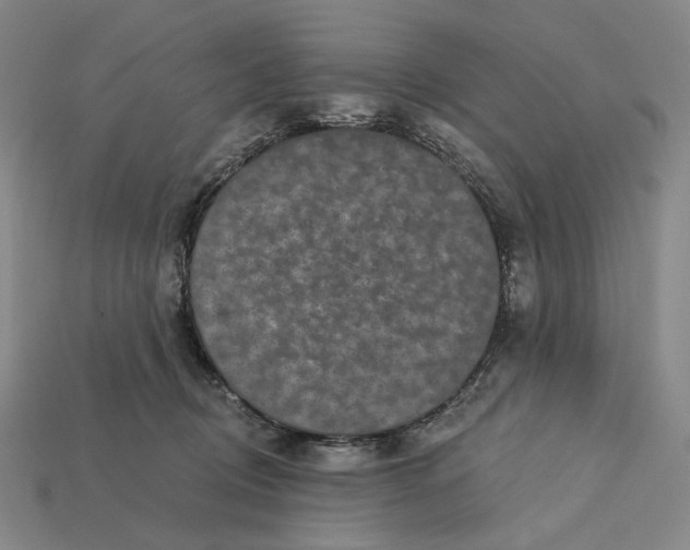 X0000112430370200909111034